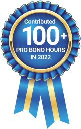 Pro bono 100 hours 2023
