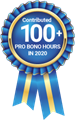 Pro Bono 100 Hours 2020