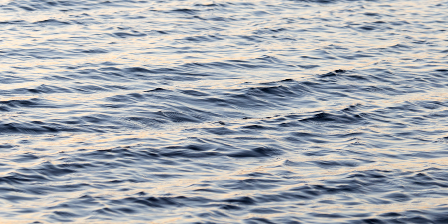 Waves in a body of water