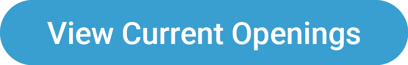 Blue View Current Openings button