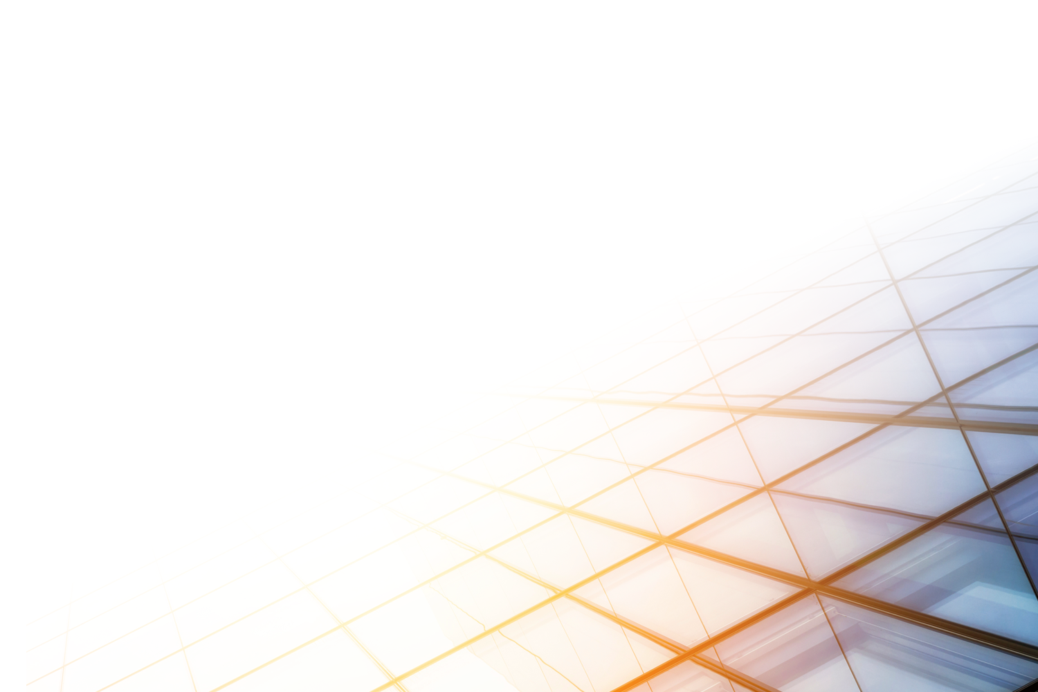 Informed Perspective