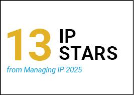 Dorsey IP Stars- Managing IP Handbook