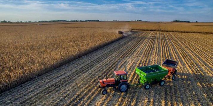 agriculture