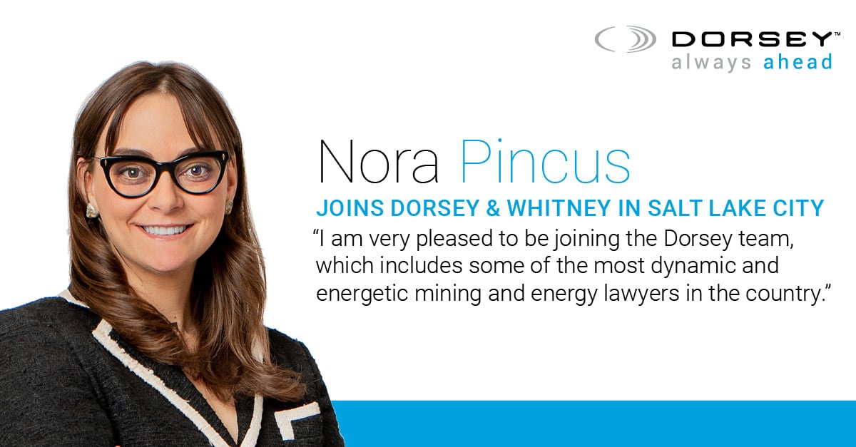 Dorsey Partner Nora Pincus