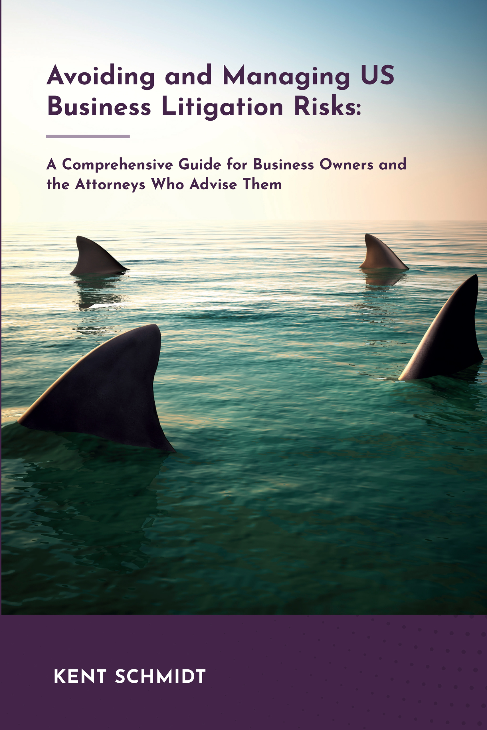 US Business Litigation Risks book cover