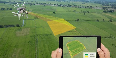 Food, Beverage & Agribusiness Deals